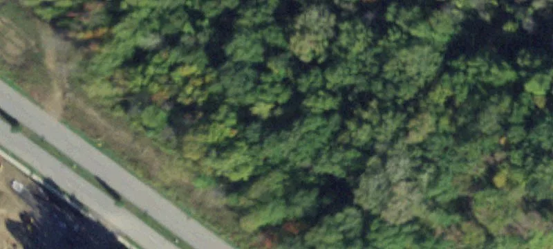 500 Bellwood Dr