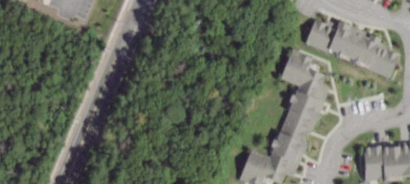 Mastic Rd