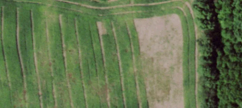 Schoeller Pipeline