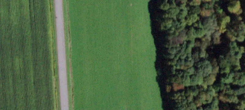 Homer, NY 13077
