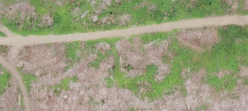 Curtiss Rd