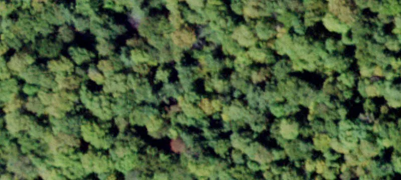 2000 Frost Vly Rd