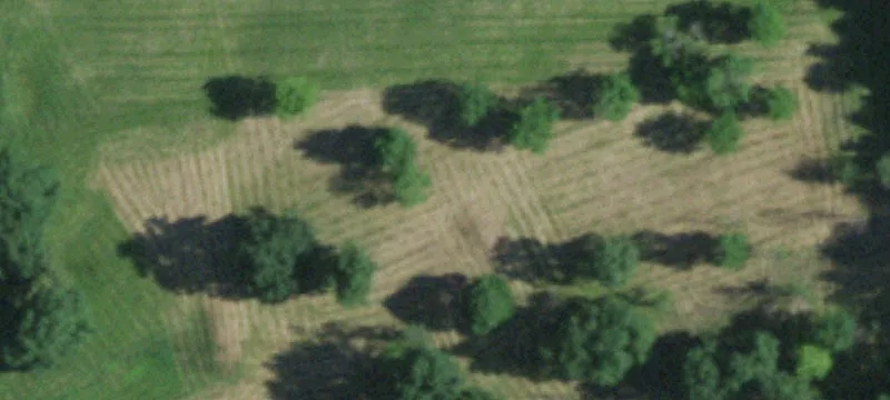 Groveland Sta Rd