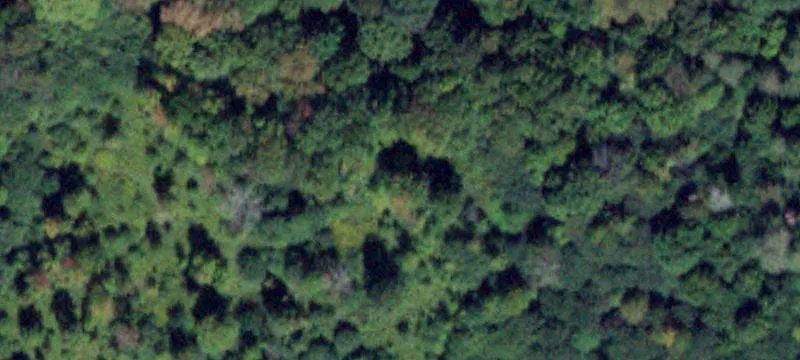 Hidden Vly Dr