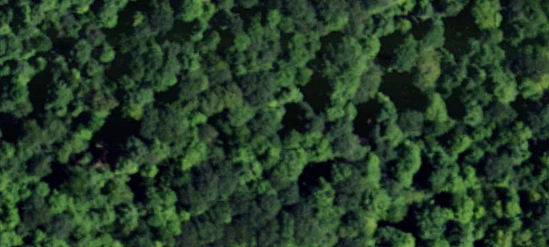 Bolivar, NY 14715