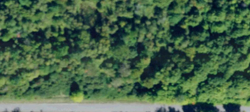 Cook Rd