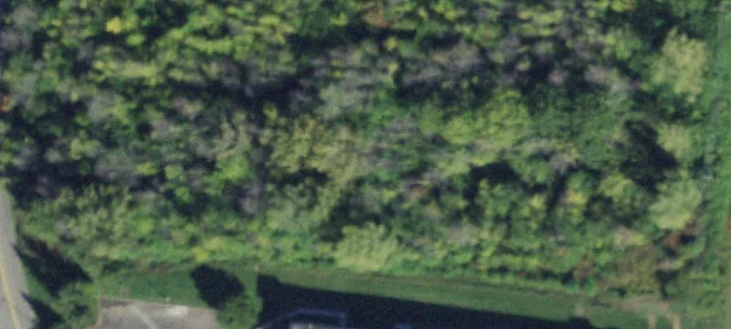 145 Bellwood Dr