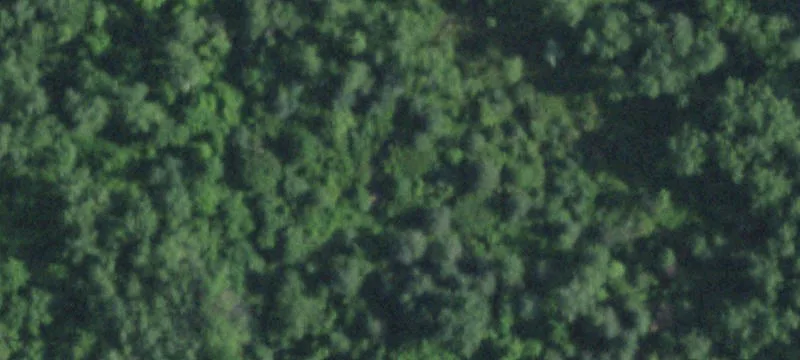5545 Rdg Rd