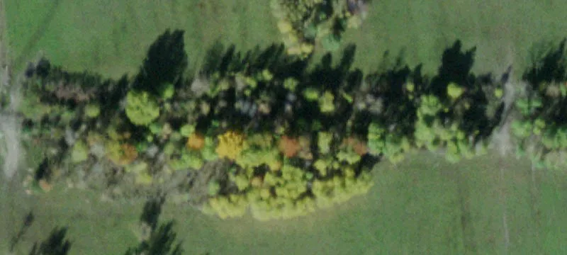 Of Nys Rte 411