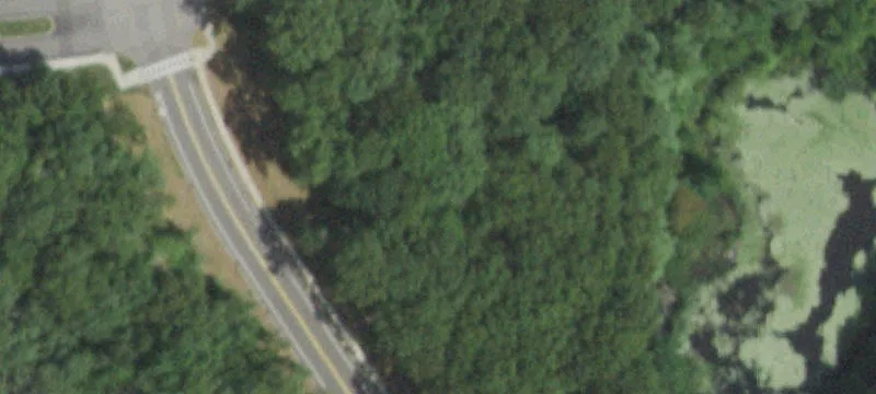 Planters Ave