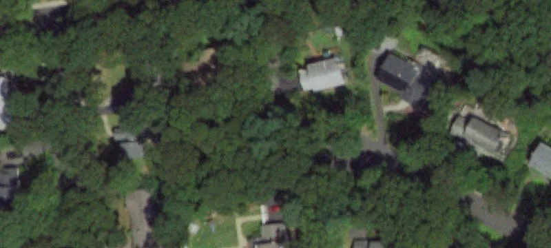 Wilson Dr