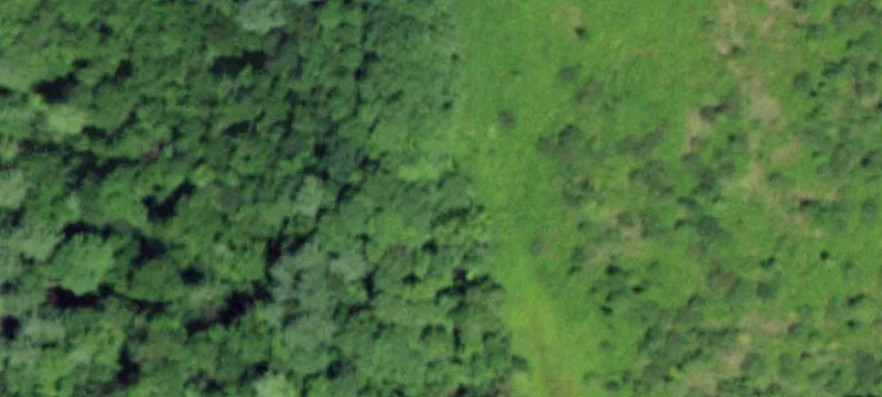 Morner Rd, NY 