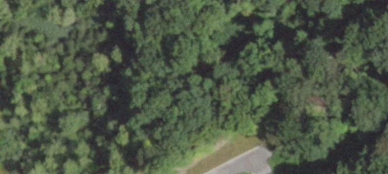 49 Clayton Blvd