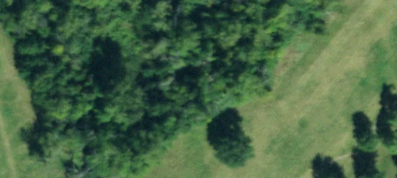 772 Frst Rd