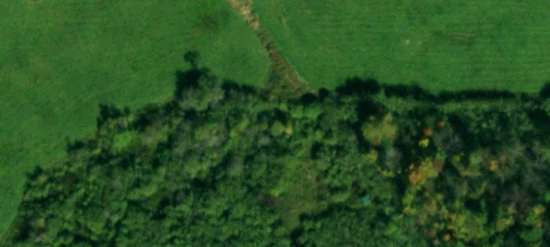 Franklinville, NY 14737