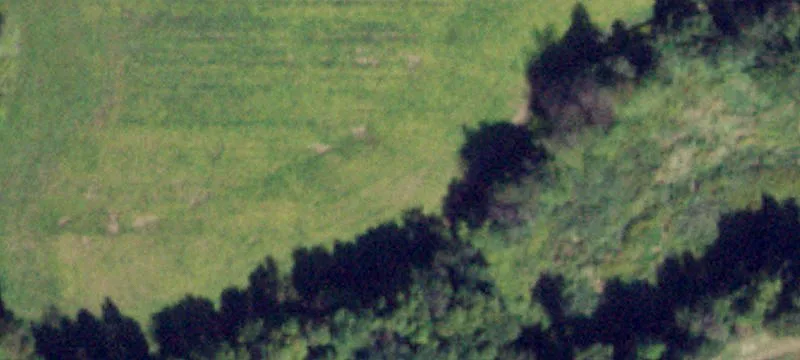 12931 White Cemetery Rd