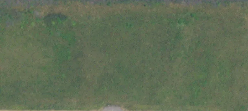 Persistance Path