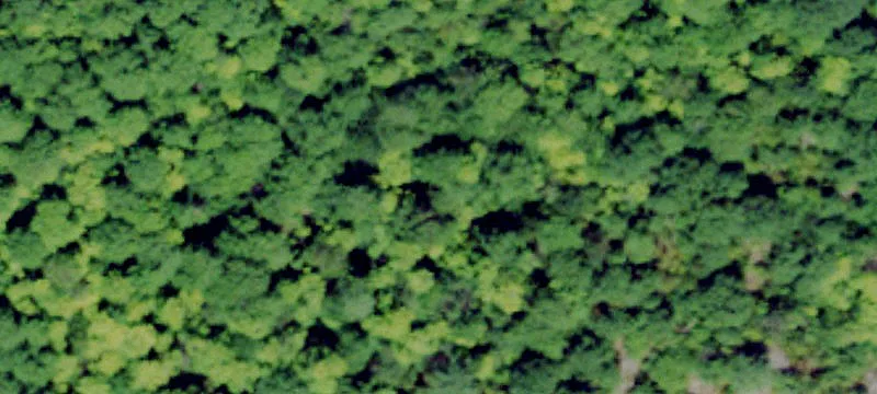 Hermon, NY 13652