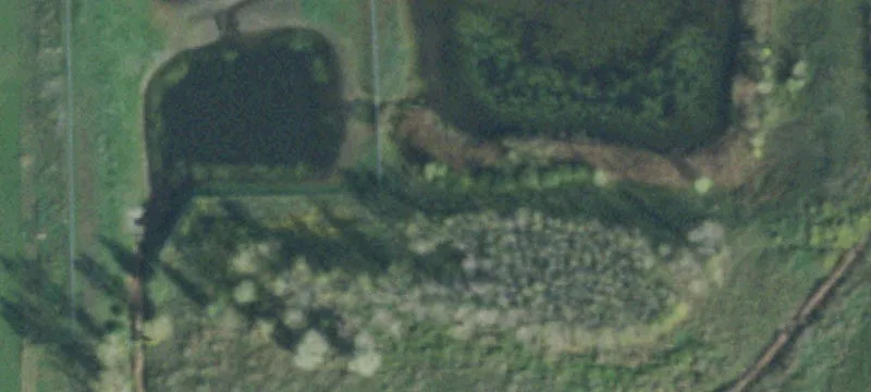 Sampson Rd
