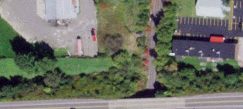 Rte 81