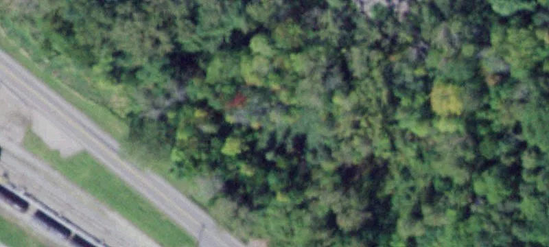 Cole Rd