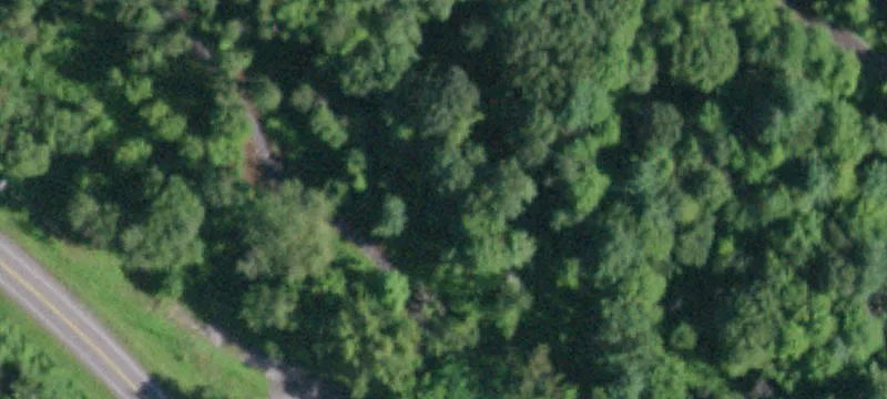 Maple Rd