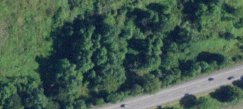 Whitehall, NY 12887