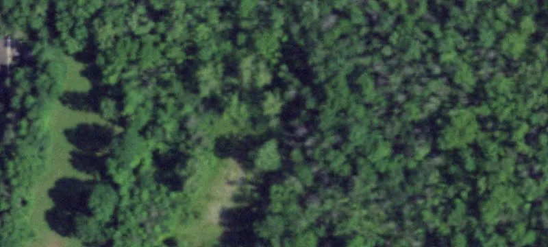 3525 State Rte 364
