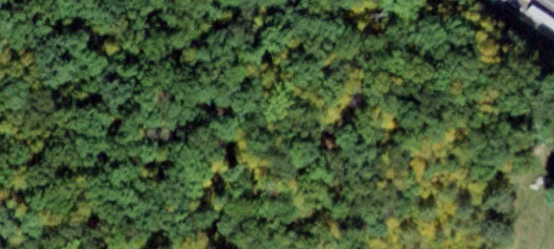 115 Sterling Mine Rd
