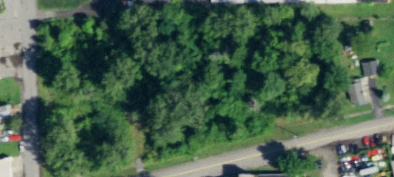 81 Niagara St