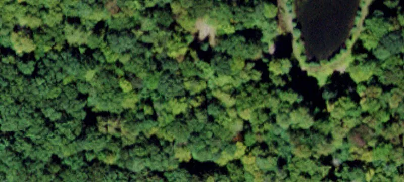 Fallsburg, NY 12733