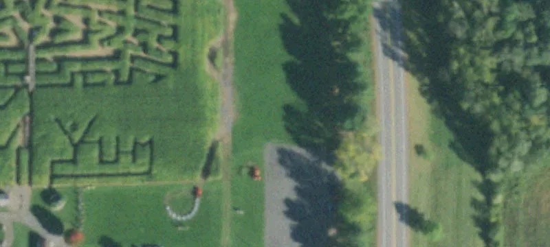 1339 Eddy Rd