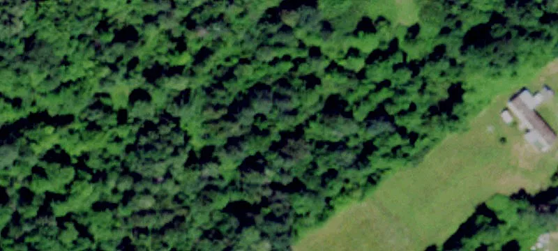 649 Irish Settlement Rd