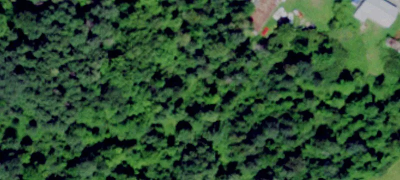 653 Irish Settlement Rd