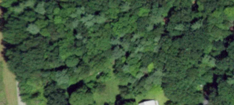 345 Miller Rd