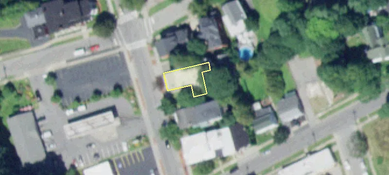 31 Ann St