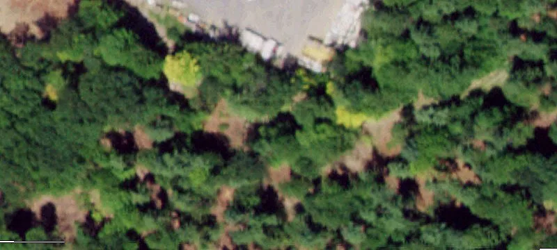 62 Greenfield Rd