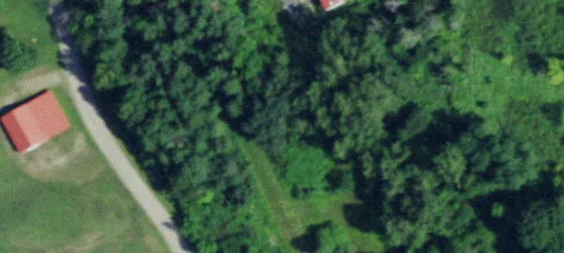 309 Maple Ave