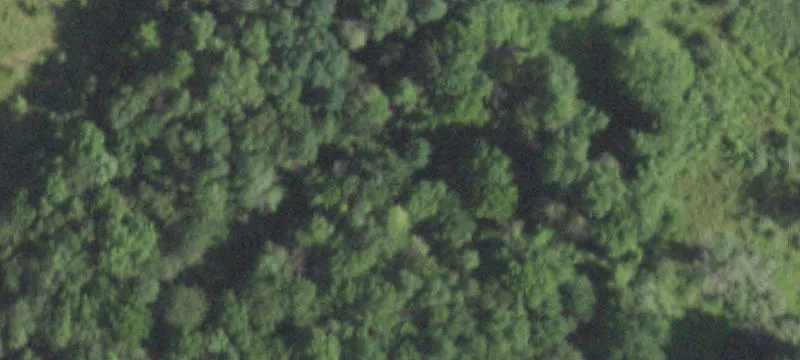 Rte 55