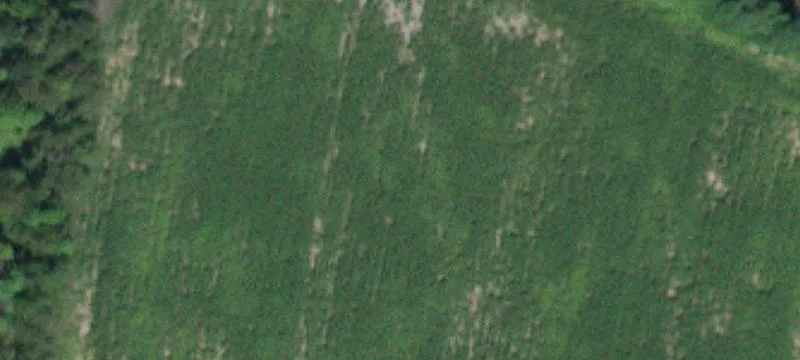 40236 State Hwy 10