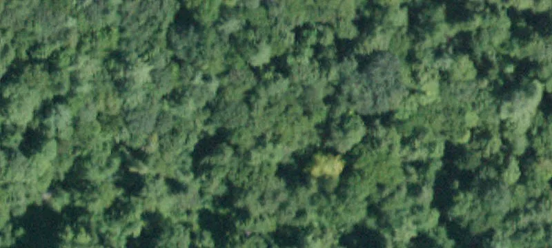 4784 State Hwy 29