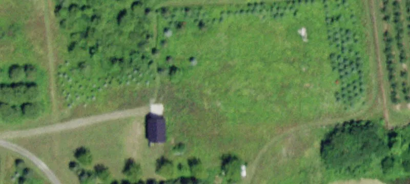 239 Millbrook Rd