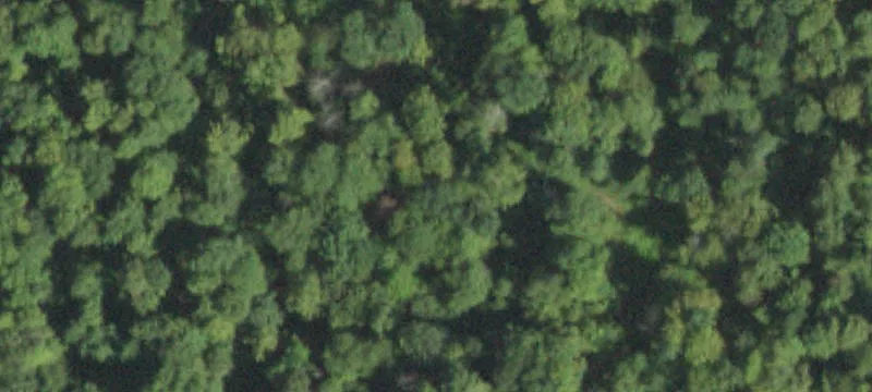 15 Dorsey Ln