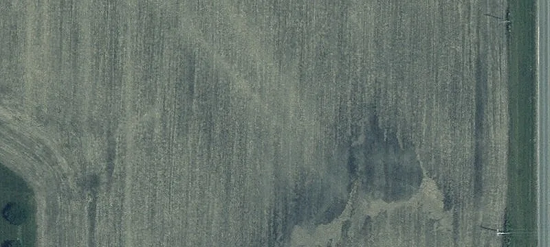 C R 61