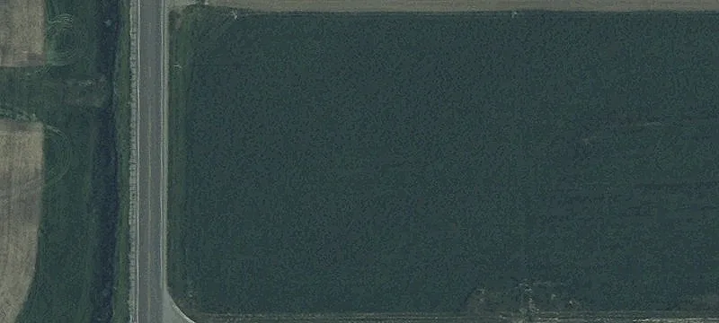 8019 Booster Dr