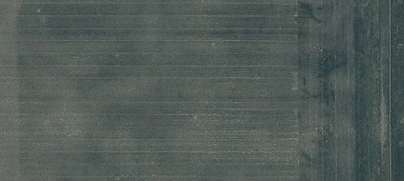 Albers Rd