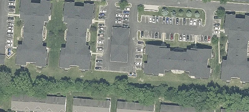 Sedge Ln