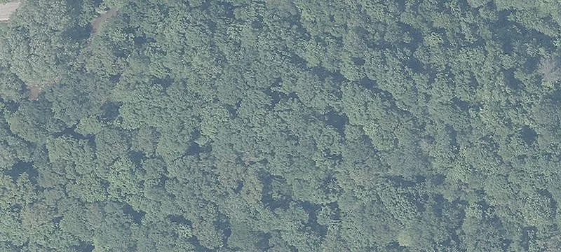Luhrig Rd