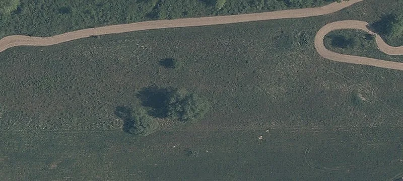 3101 State Rte 14