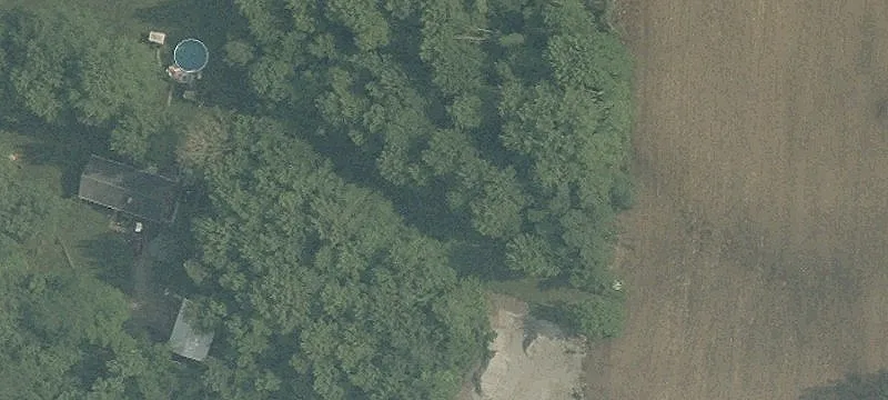 6585 State Rte 229